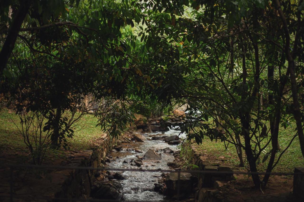 Sati Villa Kandy Sri Lanka Buitenkant foto
